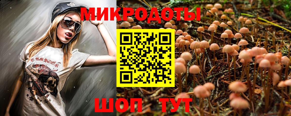 Псилоцибиновые грибы Cubensis  цены   Ленинск-Кузнецкий  Вход с VPN 