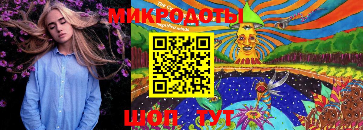 Галлюциногенные грибы Psilocybine cubensis Ленинск-Кузнецкий