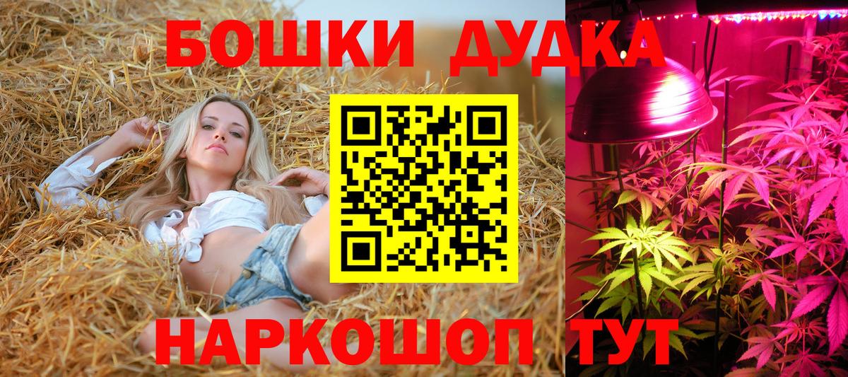 Марихуана конопля  Конопля OG Kush  Шишки марихуана планчик  Ленинск-Кузнецкий  Вход с VPN 